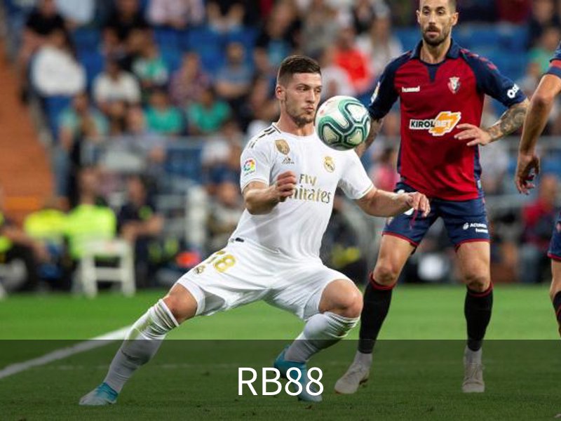 RB88介绍